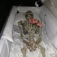Skeleton in Coffin