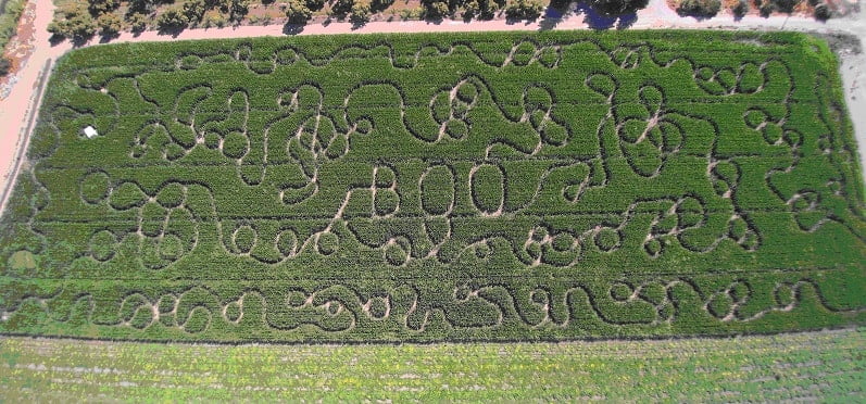Corn Maze Aerial View