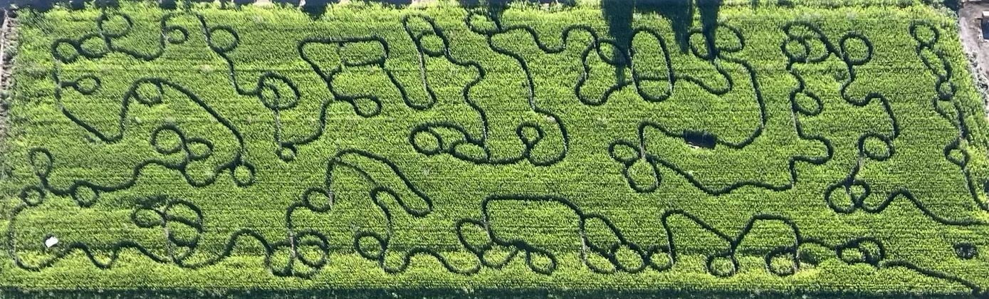 2023 Corn Maze Aerial View